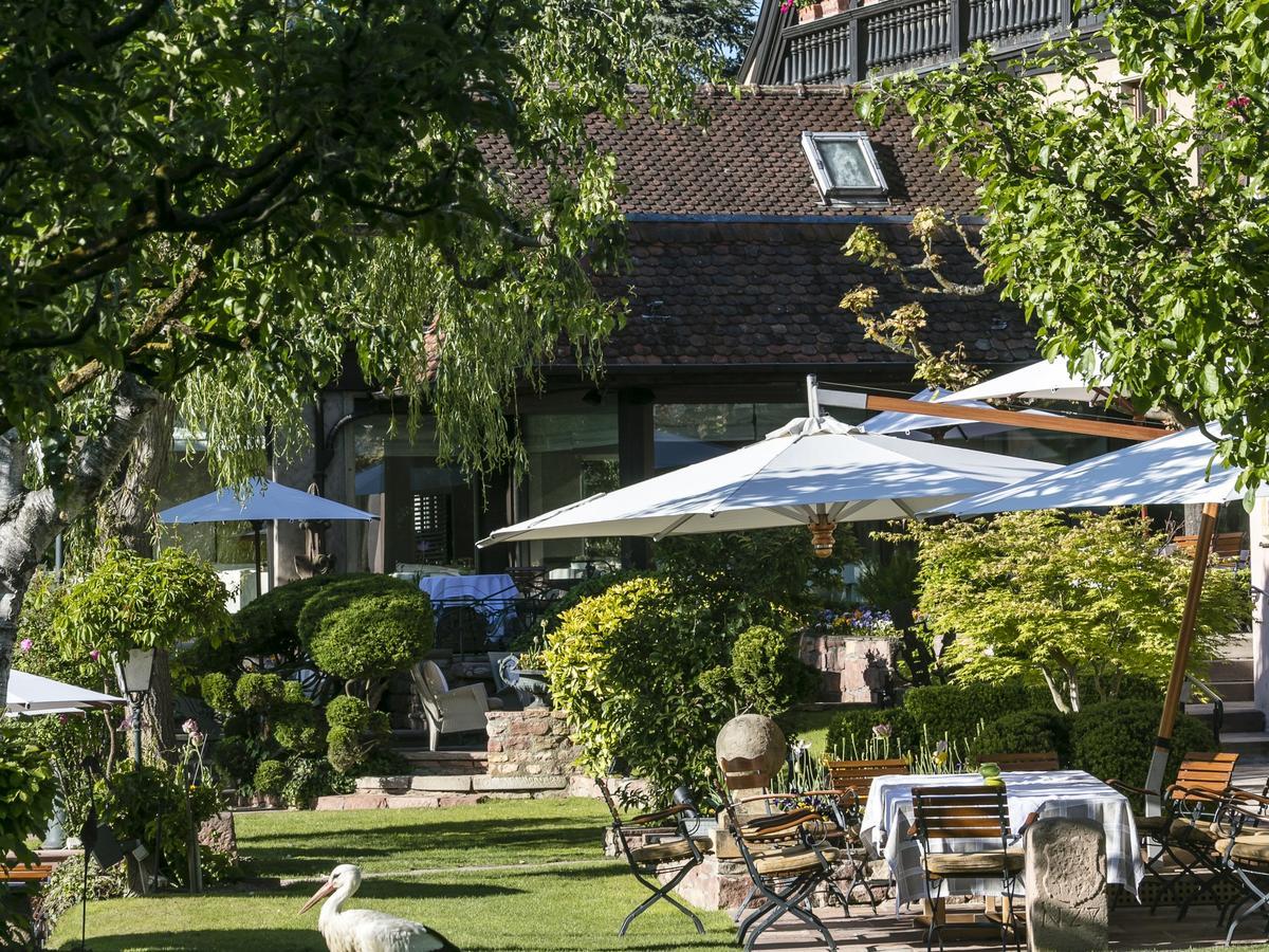 Hotel Des Berges, Restaurant Gastronomique & Spa Illhaeusern Exteriér fotografie
